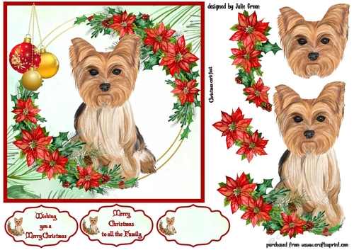 Christmas Yorkshire Terrier