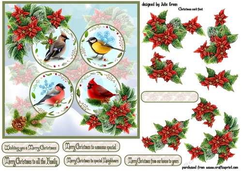 Winter birds at Christmastime