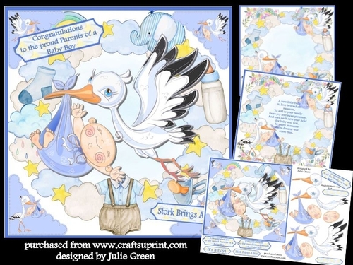 Stork brings a Boy