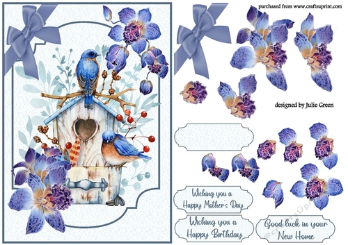 Birds and orchids A5