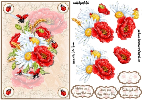 Poppies daisies and Ladybirds A5