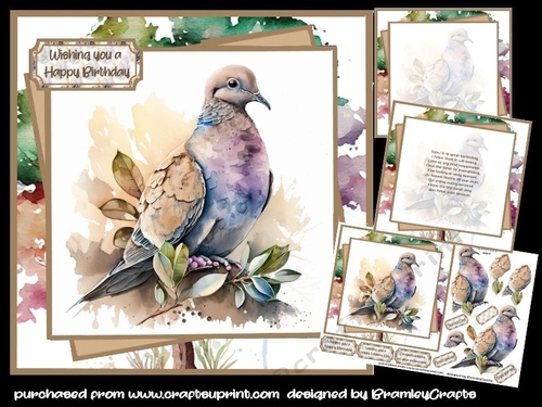 Pigeon Fancier