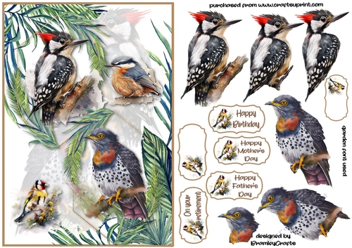 Feathered Friends