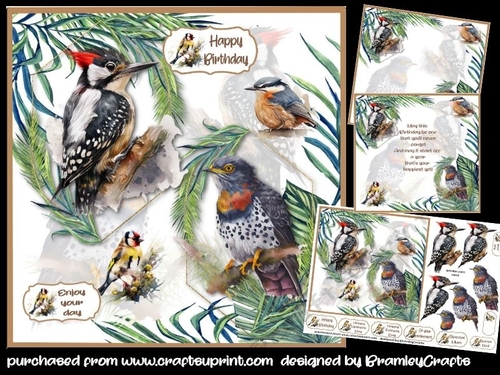 Feathered Friends 7x7