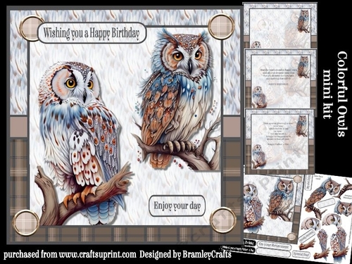Colourful Owls