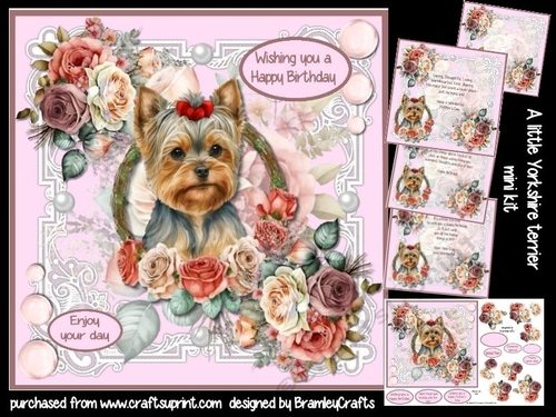 A little Yorkshire Terrier