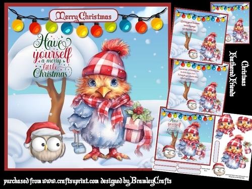 Christmas Feathered Friends