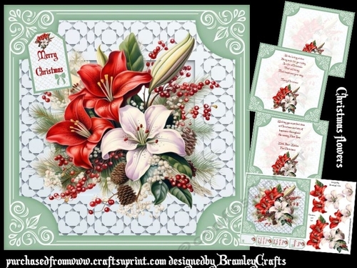 Christmas flowers