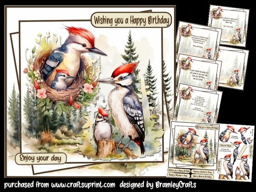 Woodpecker Family