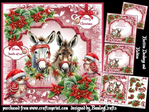 Festive Donkeys and Robins