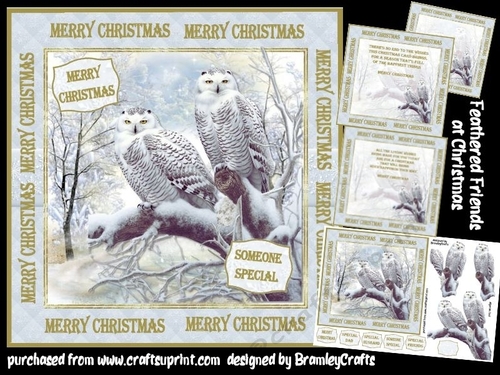 Feathered Friends at Christmas