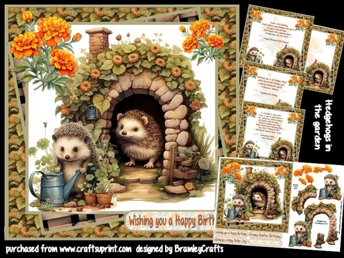 Hedgehogs in the garden