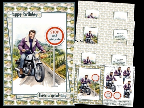 Handsome rides a motorcycle A5