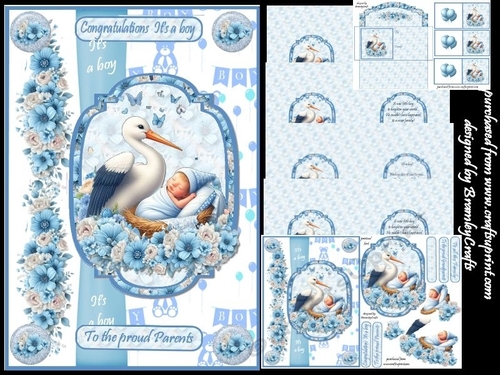 Stork brings a boy A5