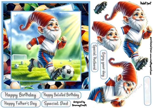 A Gnome Goal