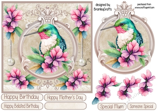 The Humming Bird