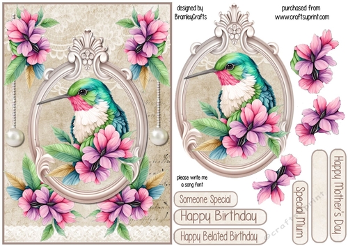 The Humming Bird A5