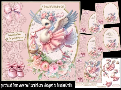 A new arrival baby girl
