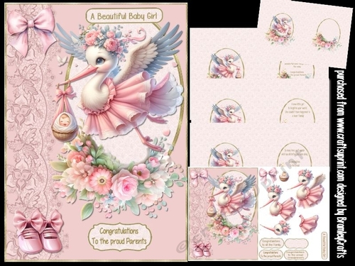 A new arrival baby girl A5