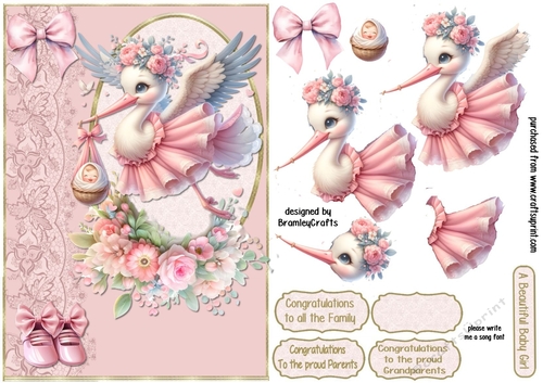 A new arrival baby girl A5