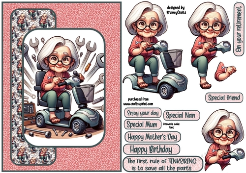 scooter tinkerer female A5