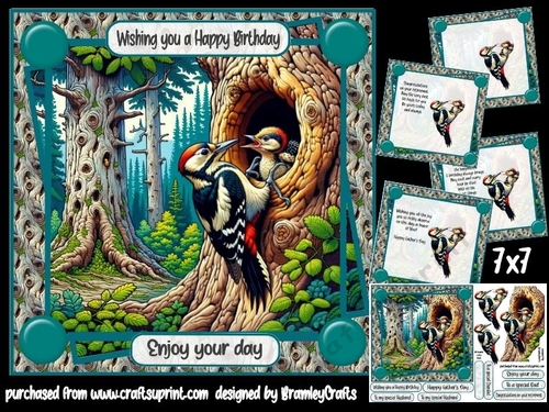 The woodpecker 7x7