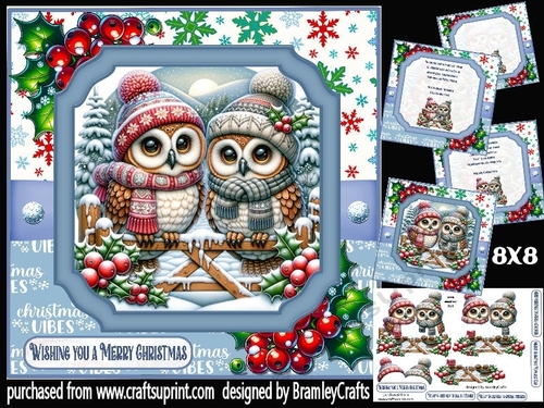Festive owls 8x8