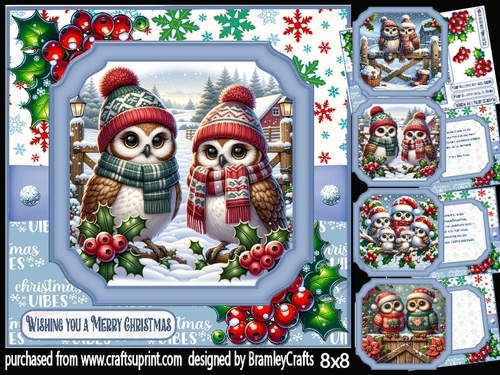 Cute festive owls 8x8