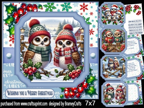 Cute festive owls 7x7