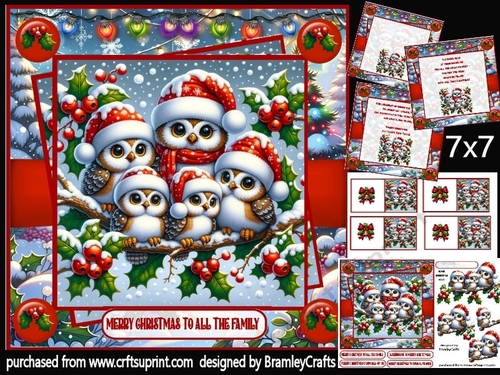 Festive owl family