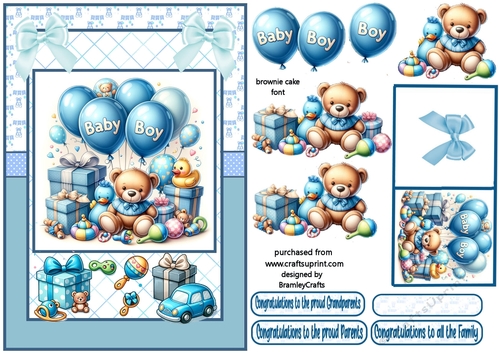 Baby boy arrives A5