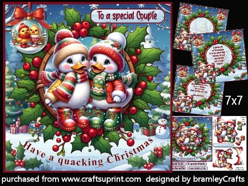 Have a quacking Christmas 7x7