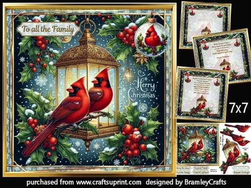 Two red cardinals 7x7