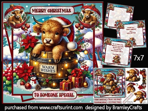 Mooey Christmas 7x7