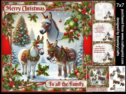 Christmas Donkeys