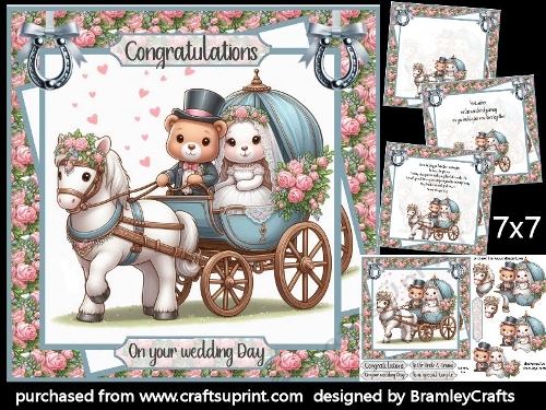 Horse and carriage wedding day