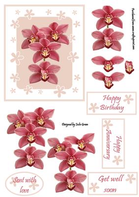 Orchids with Love