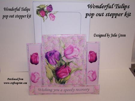 Wonderful Tulips Pop Out Stepper Kit