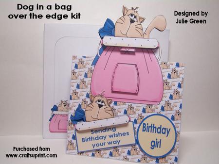 A Dog in a Bag Over the Edge Kit
