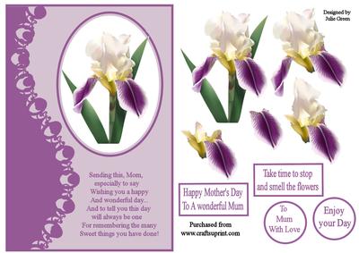 A Mother's Day Flower