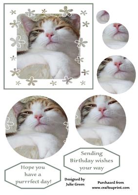 Have a Purrrfrct Day