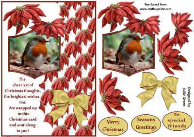 Poinsettia Robins Card Front