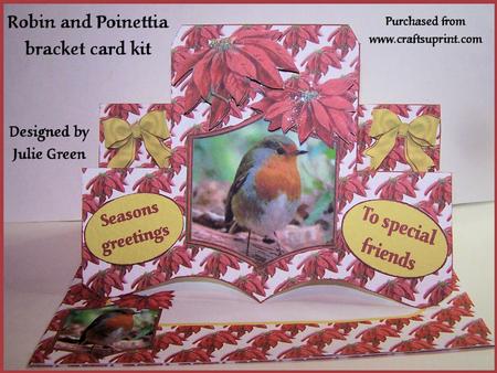 Robin and Poinsettia Bracket Kit