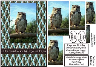 Ollie the Owl