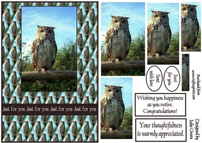Ollie the Owl Two