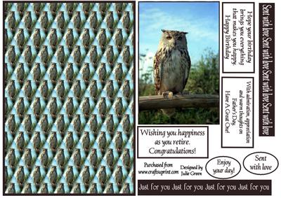 Ollie the Owl All Occasion