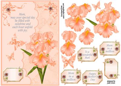 Mother's Day Flowers