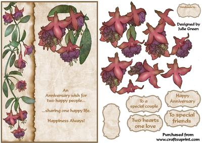 Anniversary Fuschias