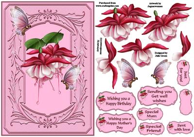 Butterflies and Blooms