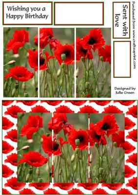 Poppies Galore